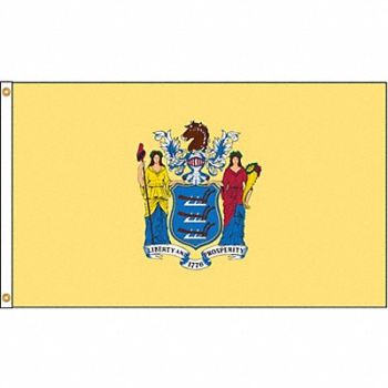 NYLGLO D3772 New Jersey Flag 5x8 Ft Nylon, 5JFL6