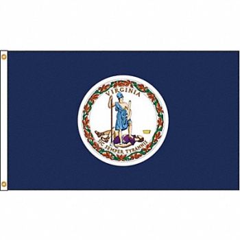 NYLGLO D3772 Virginia Flag 5x8 Ft Nylon, 5JFR8