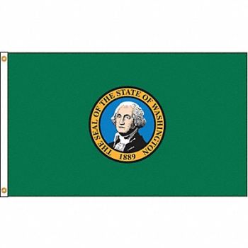 NYLGLO D3772 Washington Flag 5x8 Ft Nylon, 5JFT0