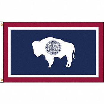 NYLGLO D3771 Wyoming Flag 4x6 Ft Nylon, 5JFT5