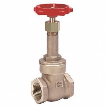 MILWAUKEE VALVE Gate Valve Class 125 3 in FNPT, 5JLW2