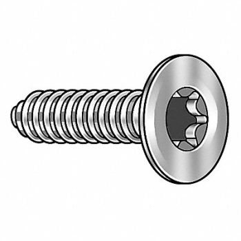 TAMPER-PRUF SCREW Scrw Sz #10 T20 Zinc 1/2 L PK50, 5JU41