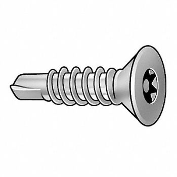 TAMPER-PRUF SCREW Scrw Sz #10 T20 Zinc 2 L PK50, 5JU57