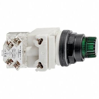 SCHNEIDER ELECTRIC H6934 Illuminated Push Button 30mm 120VAC, 5KCJ1