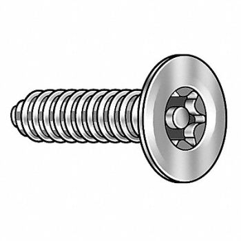 TAMPER-PRUF SCREW Scrw Sz #14 T30 18-8SS 1.25 L PK10, 5KY56
