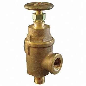 KUNKLE VALVE Adjustable Relief Valve 3 In 225 psi, 5NKX2