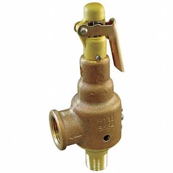 KUNKLE VALVE D4488 Safety Relief Valve 2 x 2-1/2 In 200 psi, 5NLE2