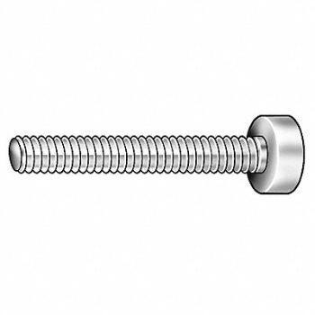 GRAINGER APPROVED Thumb Screw 1/2 -13 Full Thread SS 3 L, 5PY40