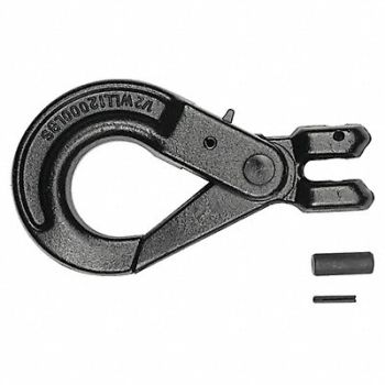 DAYTON Slip Hook Steel G80 Clevis 12000 lb., 5WRT9