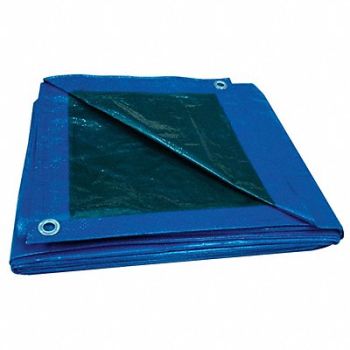 GRAINGER APPROVED G8829 Tarp Reversible Polyethylene 50x80Ft, 5WTK8
