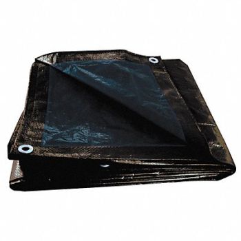 GRAINGER APPROVED G8829 Tarp Reversible Polyethylene 50x80Ft, 5WTL2