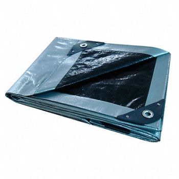 GRAINGER APPROVED Tarp Reversible Polyethylene 12x25Ft, 5WTN7