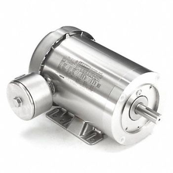 LEESON Washdown Motor 2 HP 3490 145TC 230/460V, 5XAT0