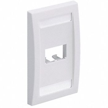 PANDUIT Wall Plate Single Gang 2 Ports White, 5ZVZ9