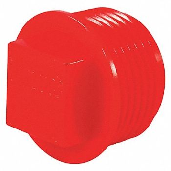 CAPLUGS Threaded Plug PK200, 60MG55