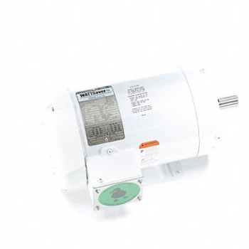 LEESON Washdown Motor 3 HP 3490 145C 230/460V, 60PV30