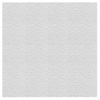 USA SEALING Lighting Panels Polycarbonate Clear PK2, 60UP92