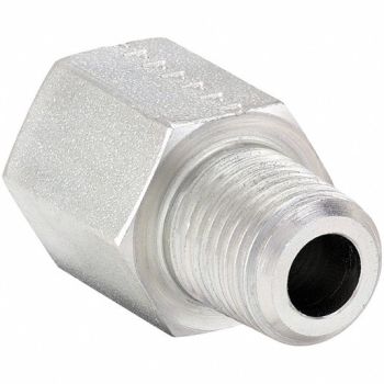 PARKER Straight Steel 1/2 in MNPT x F BSPP, 60UU41