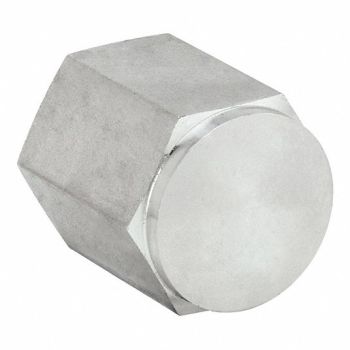 PARKER Hex Cap 316 SS 1/8 in Pipe Size FNPT, 60UV59