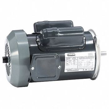LEESON Farm Duty Motor 115/200-230V AC, 60WD49