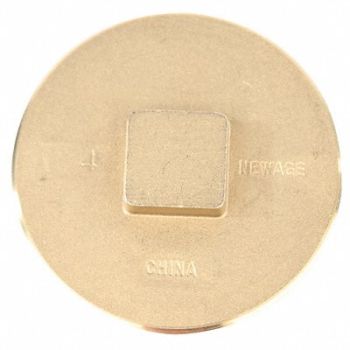 GRAINGER APPROVED Raised Square Plug Brass 4 in Socket, 60WY51