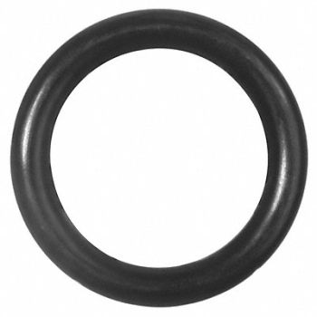 GRAINGER APPROVED O-Rings Inch Round Aflas PK2, 60YL22