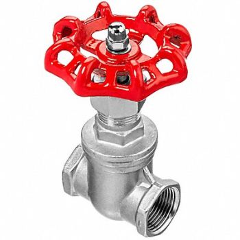 USA SEALING Gate Valve 304 SS Body Threaded Bonnet, 61DU75