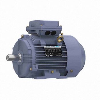 MARATHON MOTORS General Purpose Motor 15HP 1775 RPM 160M, 61KH95