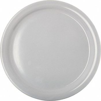 CARLISLE Dinner Plate 9 in White, 61LV95