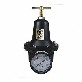 COILHOSE PNEUMATICS Regulator W/Gauge 1/2, 620K75