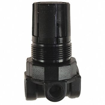 COILHOSE PNEUMATICS Miniature Regulator 1/4, 620M90
