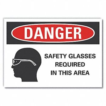LYLE Eye Danger Rflct Label 10 in x 14 in, 62UH36