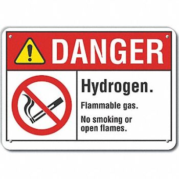 LYLE Danger Sign 7 in x 10 in Aluminum, 62TR81