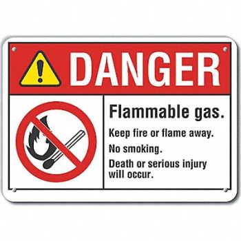 LYLE Danger Sign 7 in x 10 in Aluminum, 62TT06