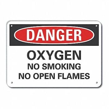 LYLE Danger Sign 7 in x 10 in Aluminum, 63KU86