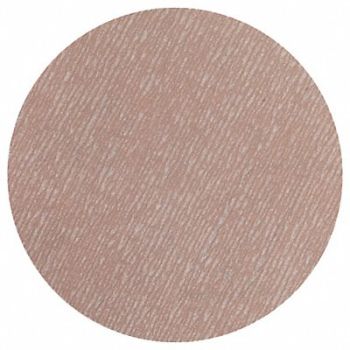 NORTON Hook-and-Loop Sanding Disc 5 dia, 804K32