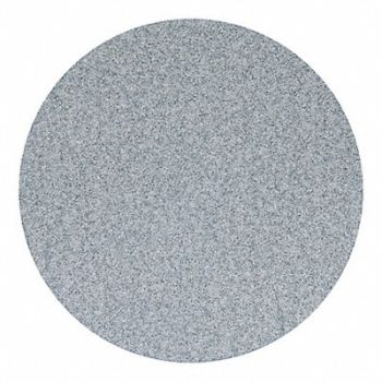 NORTON Hook-and-Loop Sanding Disc 6 dia, 804K17