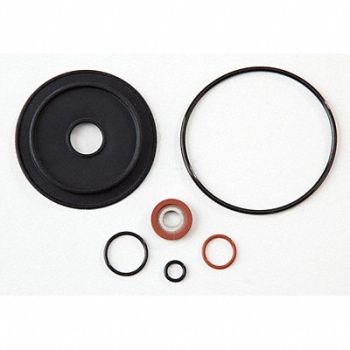 Relief Valve Repair KIt Watts 009 M2 1In, 6AUP8