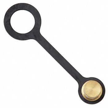 Cap Tether 1/8 Use w/Watts RK-SAE-TC, 6AUY0
