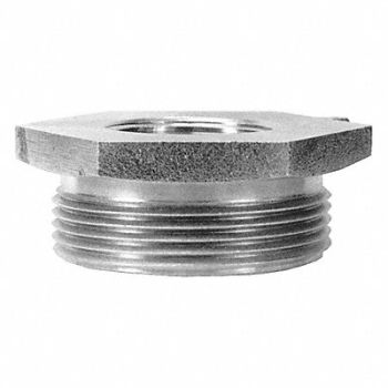 DIXON VALVE COUPLING Fire Hose Adapter Straight GHTxNPT, 6CLW9