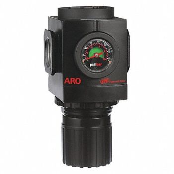 ARO Air Regulator 1 in NPT 290 cfm 250 psi, 6CRN2