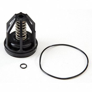 Repair Kit Watts Series 009 M2 2 In, 6CUJ4