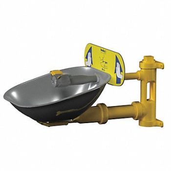 BRADLEY Eyewash Station Wall Mount SS 15-7/8 W, 6DGX9