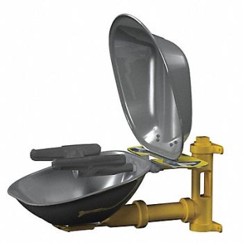 BRADLEY Eyewash Station w/Cover Wall SS 15-1/2 W, 6DGY1