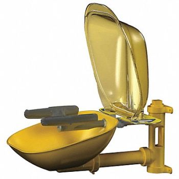 BRADLEY Eye/Face Wash Station w/Cover Wall SS, 6DGY3