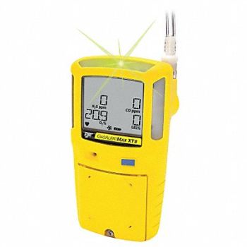 BW TECHNOLOGIES Multi-Gas Detector 2 Gas -4 to 122F LCD, 6DMZ1