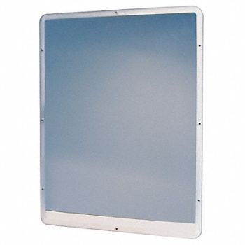 CORTECH Mirror 18 in W 24 in H, 6GVZ8