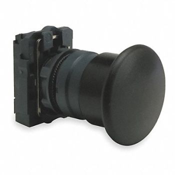 SCHNEIDER ELECTRIC Non-Illuminated Push Button 22mm Plastic, 6HL41