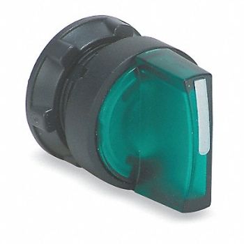 SCHNEIDER ELECTRIC Selector Switch 2 Pos Lever Green, 6HT57