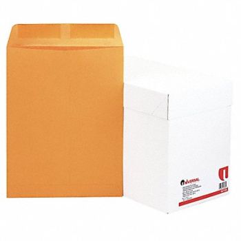UNIVERSAL Mltiprpse Env 12-1/2 H 9-1/2 W PK250, 6PDN6